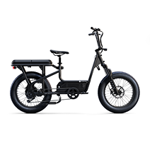 Electric Bikes